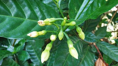 视觉小说《新宿葬命》宣布延期至4月12日 开场动画公开